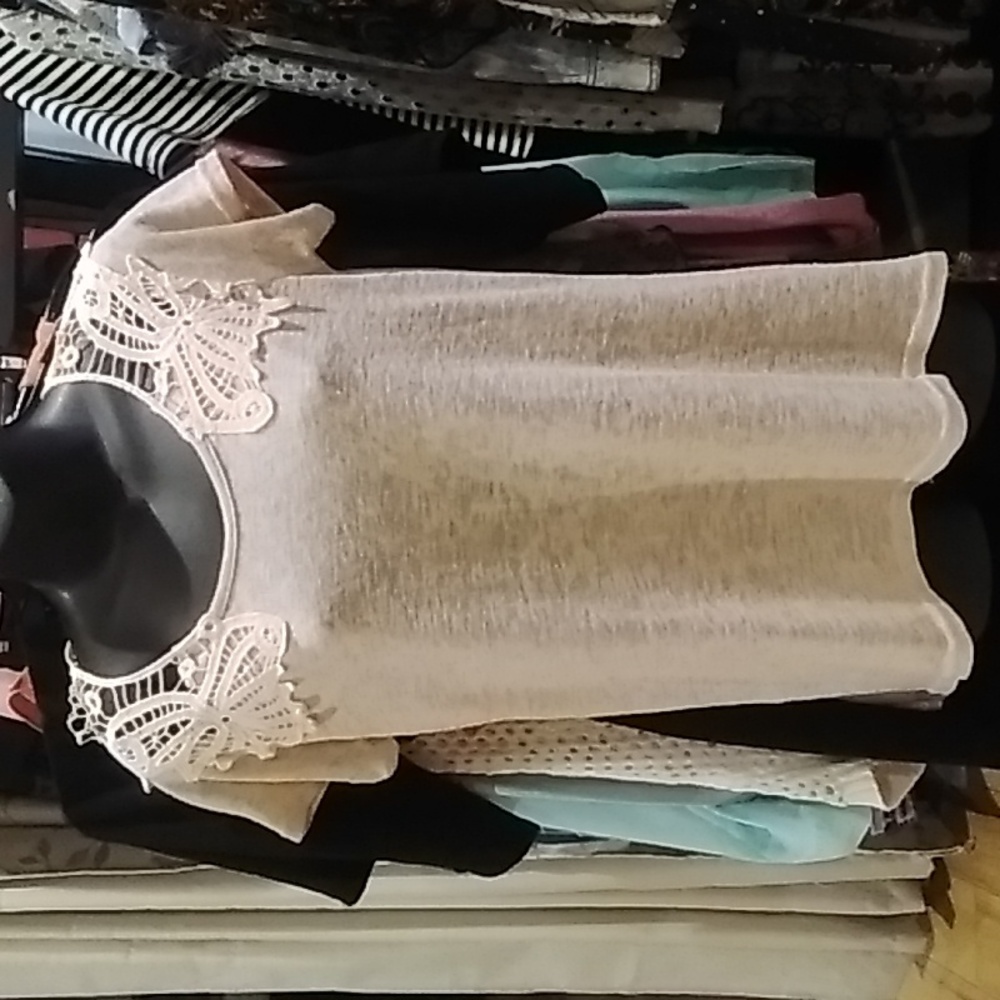 Daytrip lacy sheer cotton top